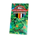 Träfärgpennor Jumbo 12-Pack