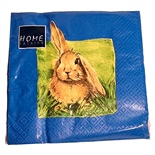 Home Fashion Lunchservett 33x33 cm 20-Pack Kanin
