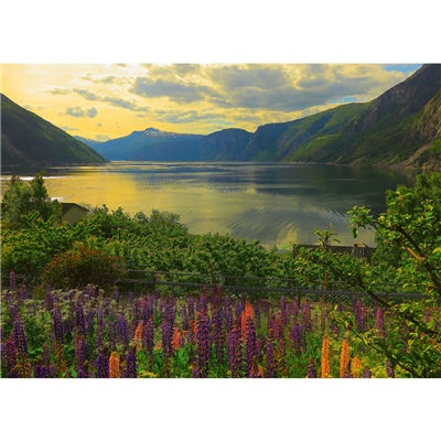 Ravensburger Pussel 1000 Bitar Fjord in Norway, 167432